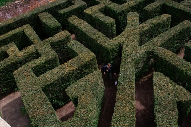 person in black jacket walking on green grass field